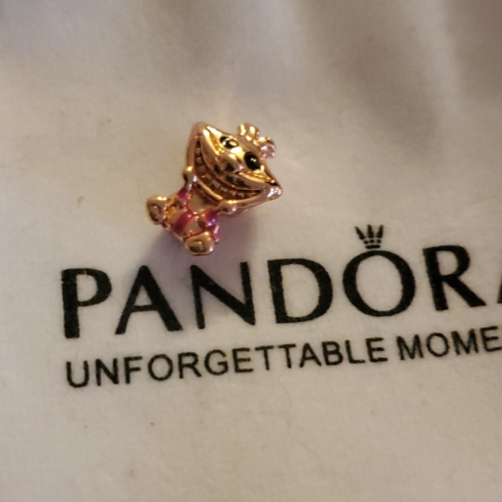 Pandora charm